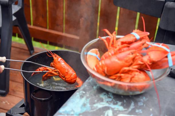 istock Lobster boil in backyard 1156755455