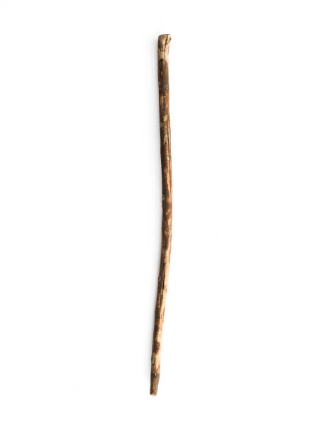 istock magic stick, wooden walking stick isolated on white background 1156755653