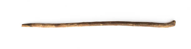 magic stick, wooden walking stick isolated on white background