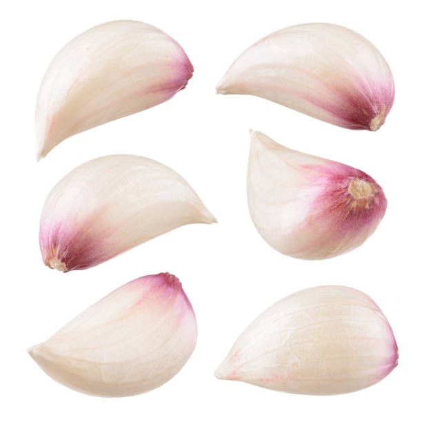 ニンニククローブが分離した。白い背景にニンニク。クリッピングパス付き。 - garlic clove isolated white ストックフォトと画像