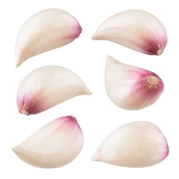 Garlic clove isolated. Garlic on white background. With clipping path.