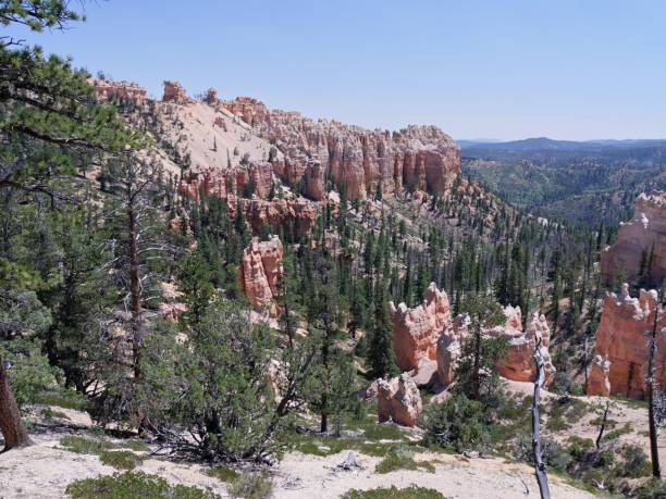 istock Farview Point lookout deck, Bryce Canyon National Park 1156761047