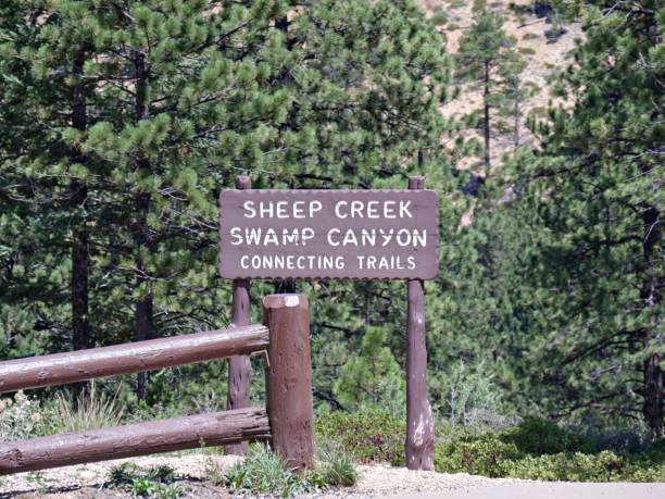 istock Concrete sign at Sheep Creek Swamp Canyon 1156761064