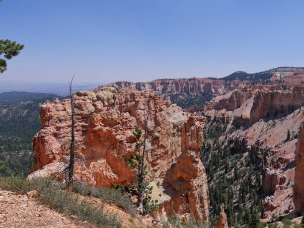 istock Black Birch Canyon, Bryce Canyon National Park 1156761791