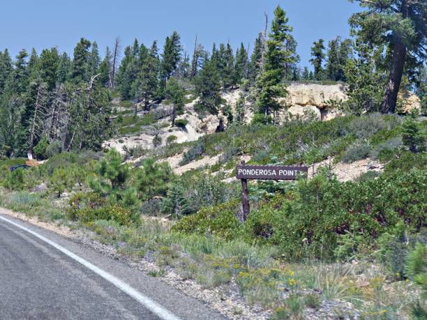 istock Scenic drive at Bryce Canyon National Park 1156761824