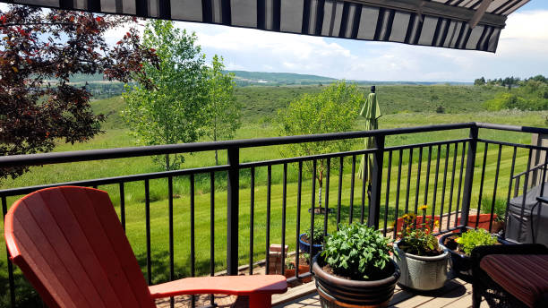 istock Comfortable Back Deck And Patio With Plants And Partial Awning 1156763468