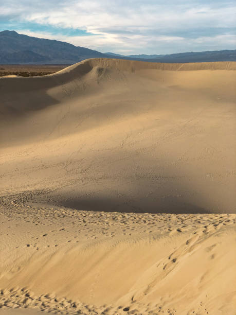 istock Sand Dunes, Death Valley Desert 1156764760