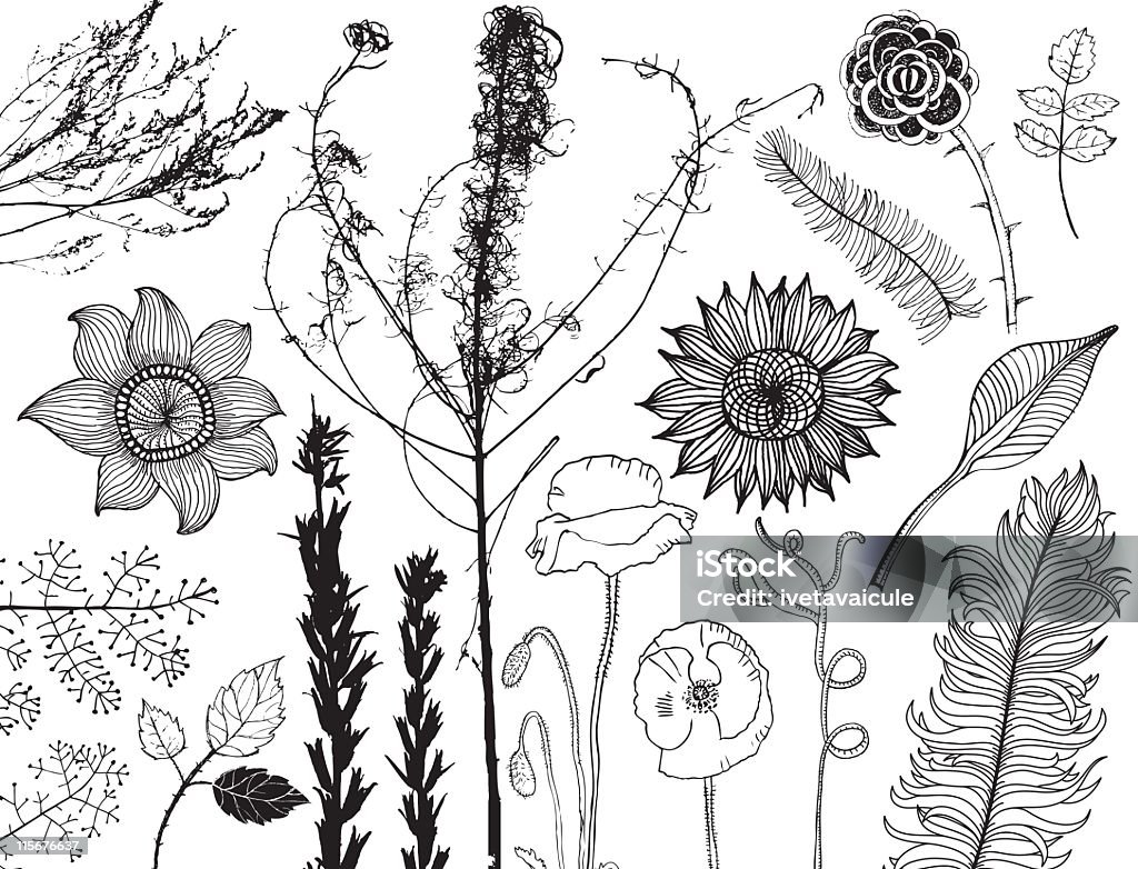 Main dessiné ensemble de fleurs, des feuilles et des silhouettes de plantes - clipart vectoriel de Couleur noire libre de droits