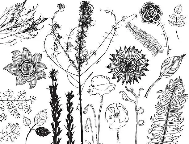 Vector illustration of Set of hand drawn flowers, leaves and silhouettes of plants