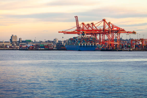 gantry cranes at container terminals vancouver harbour - vancouver harbor imagens e fotografias de stock