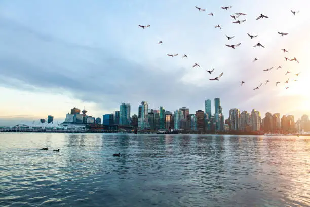 Photo of View of downtown Vancouver from Stanley Park seawall at sunset