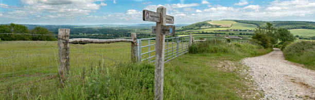 사우스 다운스 웨이 파노라마 - dirt road national park south downs footpath 뉴스 사진 이미지