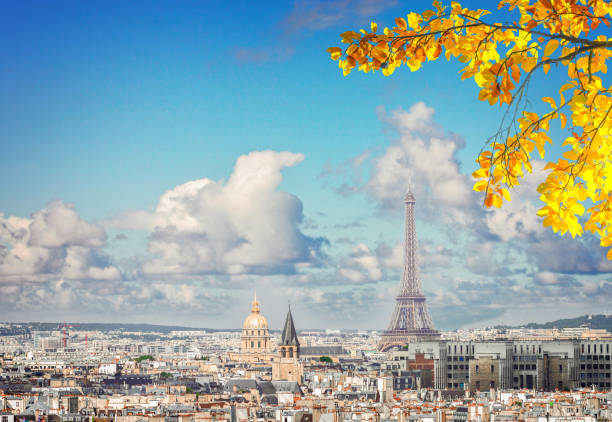istock skyline of Paris with eiffel tower 1156772957