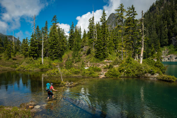 istock Mature hiker crossing lake towards forest 1156778187