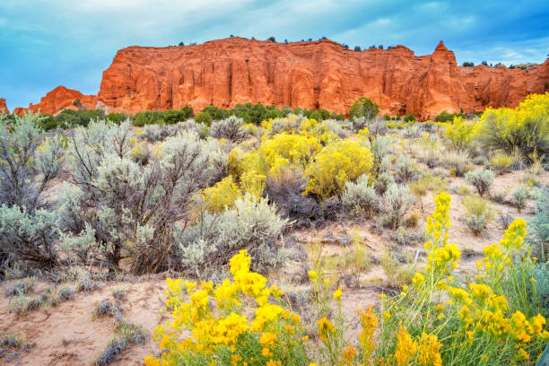 istock Kodachrome Basin State Park in Utah USA 1156779650