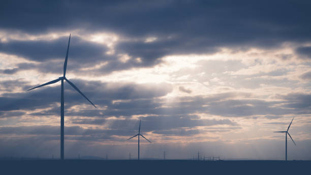 istock Wind warm on agricultural ground with cloudy sky in background 1156780618