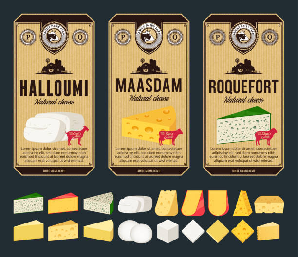 벡터 빈티지 치즈 라벨과 치즈 상세한 아이콘의 다른 유형 - cheese backgrounds textured emmental cheese stock illustrations