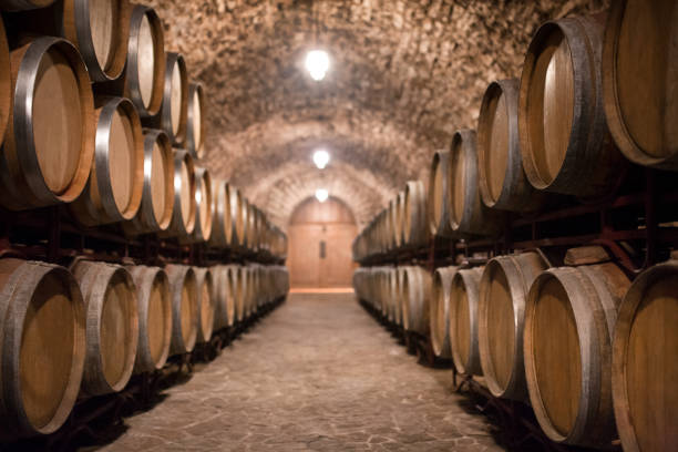 istock wine barrels. wine cellar and winery 1156781394