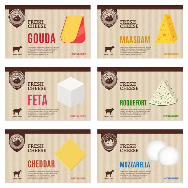 벡터 치즈 빈티지 라벨 및 포장 디자인 요소 - cheese backgrounds textured emmental cheese stock illustrations