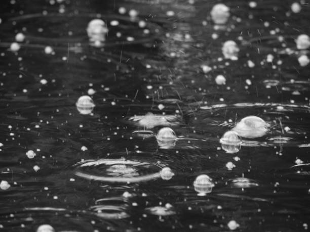 Big raindrops black and white stock photo