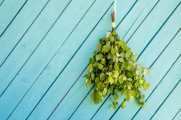 Birch tree sauna whisk broom ( also known as vasta, vihta or venik) hanging and drying on the wall, blue wooden background, copy space. Whisk is used in sauna to massage body and increase blood flow.