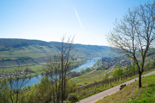 istock Aerial views to river Mosel valley. 1156784758