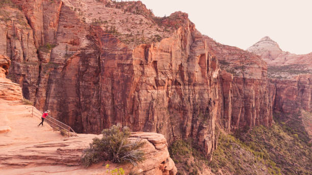 istock Exploring Zion National Park Utah Red Canyon Overlook 1156785855
