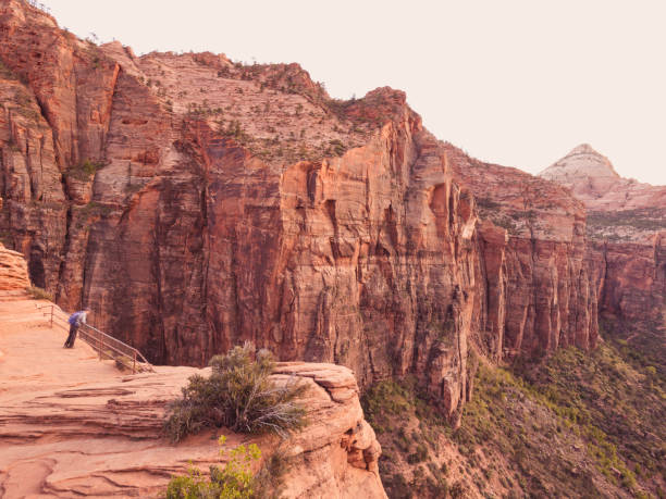istock Exploring Zion National Park Utah Red Canyon Overlook 1156785883