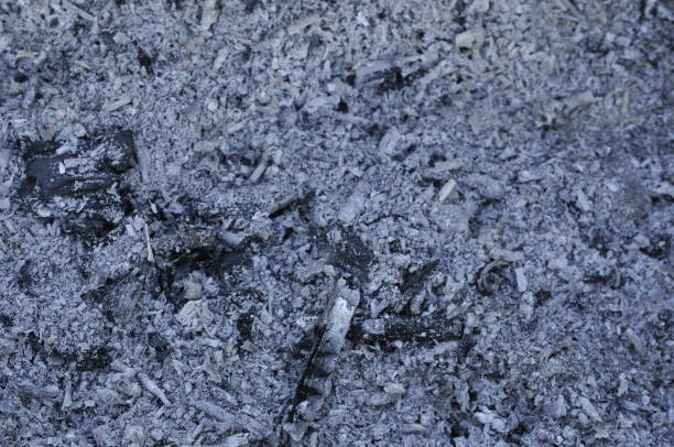 istock Ash, gray rough background, in grunge style 1156788291