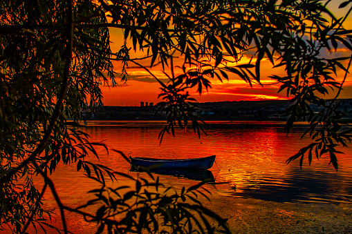 Sunset and Fishing Boat though Tree