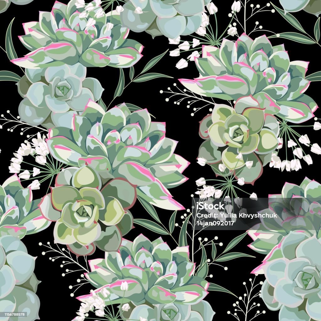 Floral Pattern Delicate Flower Wallpaper White Herbs And Green Pink  Succulent Delicate Feminine Pattern On The Black Background Stock  Illustration - Download Image Now - iStock