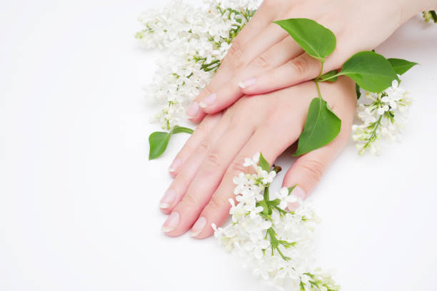 istock Tenderness Female hands with beautiful lilac flowers 1156788656