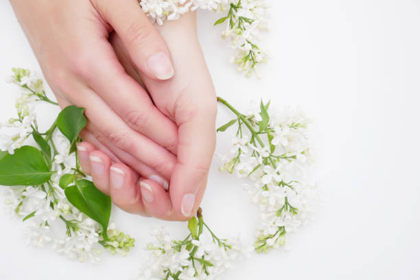 istock Tenderness Female hands with beautiful lilac flowers 1156788666