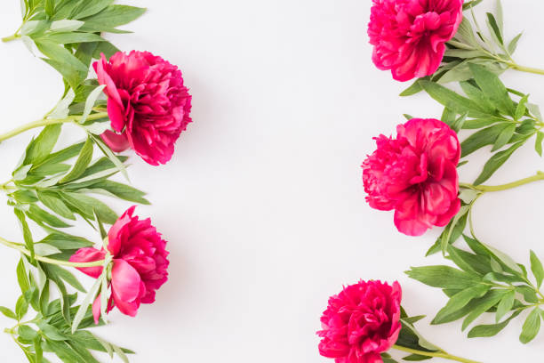 istock Flat lay composition with red peonies and green leaves on a white background 1156789720