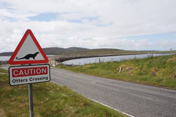 istock Otter sign: Causeway from North Uist to Berneray 1156789728