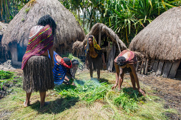 People of the Dani tribe preparing pig feast, West-Papua Baliem-Valley, New Guinea, Indonesia - August 22, 2017: People of the Dani people (also spelled as Ndani) are preparing the fire place for the tradional pig feast (pig festival). They are traditionally dressed and wearing  the typical Koteka (penis sheath or gourd). The Dani inhabit the Baliem Valley in the central highlands of West Papua (the Indonesian part of New Guinea). dani stock pictures, royalty-free photos & images