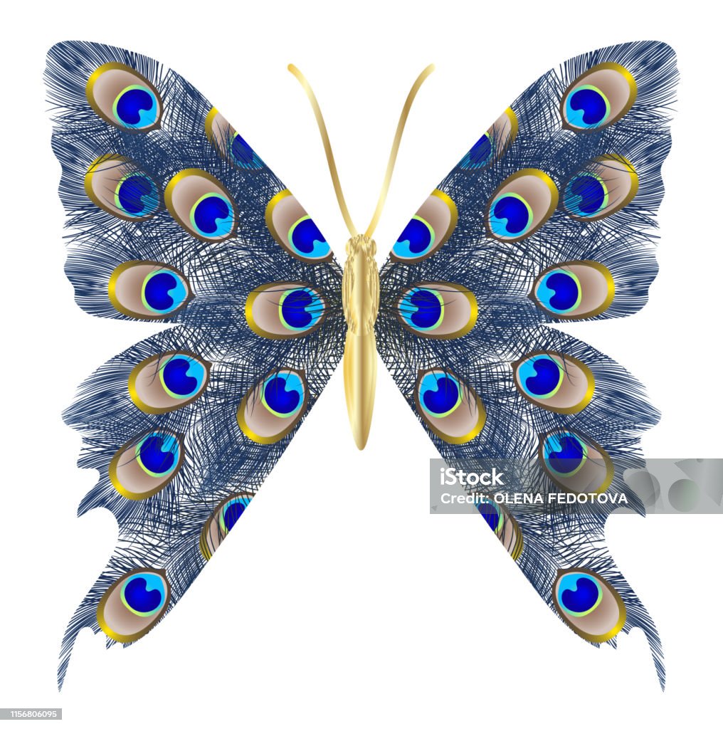 Beautiful Butterfly Peacock Feather Stock Illustration - Download ...
