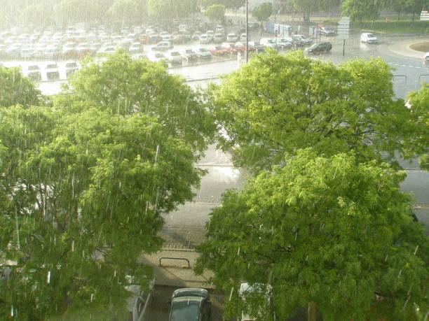 istock City view in the rain, heavy rain 1156806176