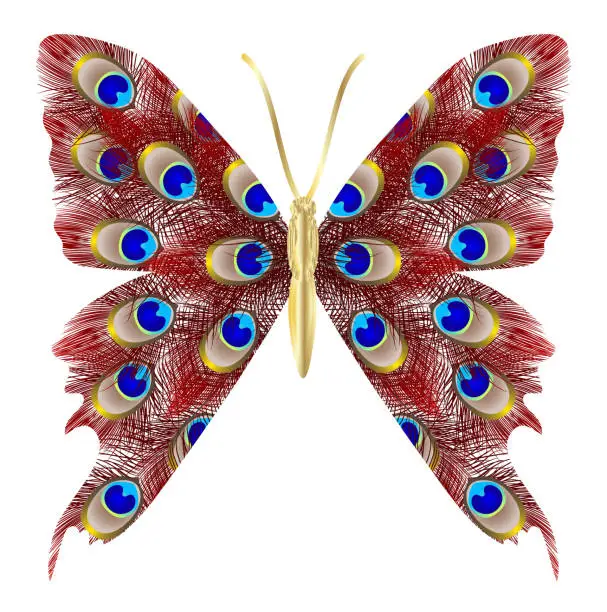 Vector illustration of Beautiful butterfly peacock feather.
