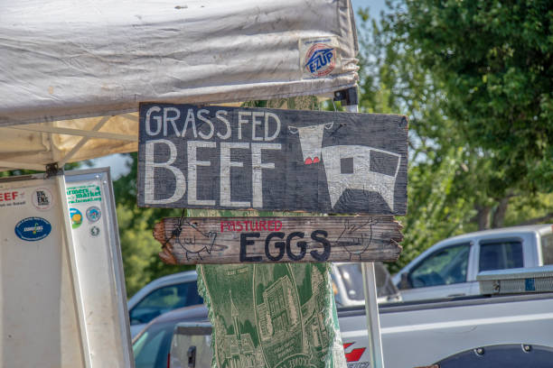 Hand painted signs advertising grass fed beef and pastured eggs at a farmer's market. stock photo
