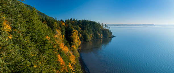 istock Chuckanut Drive Samish Bay Waterfront Ocean Aerial View Fall Autumn Tree Colors 1156809409