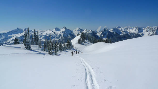 istock Snowshoeing Skyline Trail Mount Rainier 1156813811