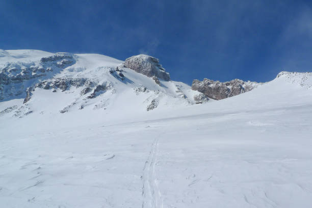 istock Muir Glacier in Mount Rainier 1156813853