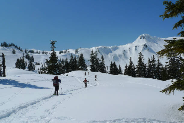 istock Snowshoeing Artist Point Trail Mount Baker 1156813892
