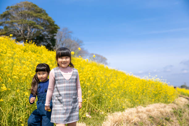 istock Two little sisters in oilseed rape field 1156814052