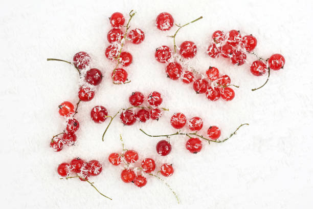 istock red currants sprinkled with coconut on white background 1156820462