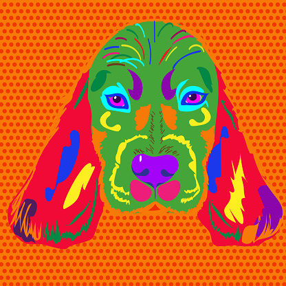 Multicolor head of the dog breed Spaniel in pop style