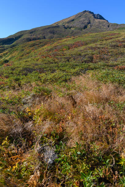 istock Mt.Chokaizan in the early fall 1156825605