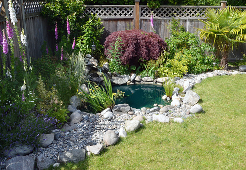 Beautiful small pond in the garden as landscaping design element.