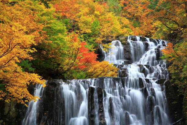 chute d'eau de couleur d'automne de préfecture d'akita - tohoku region photos et images de collection